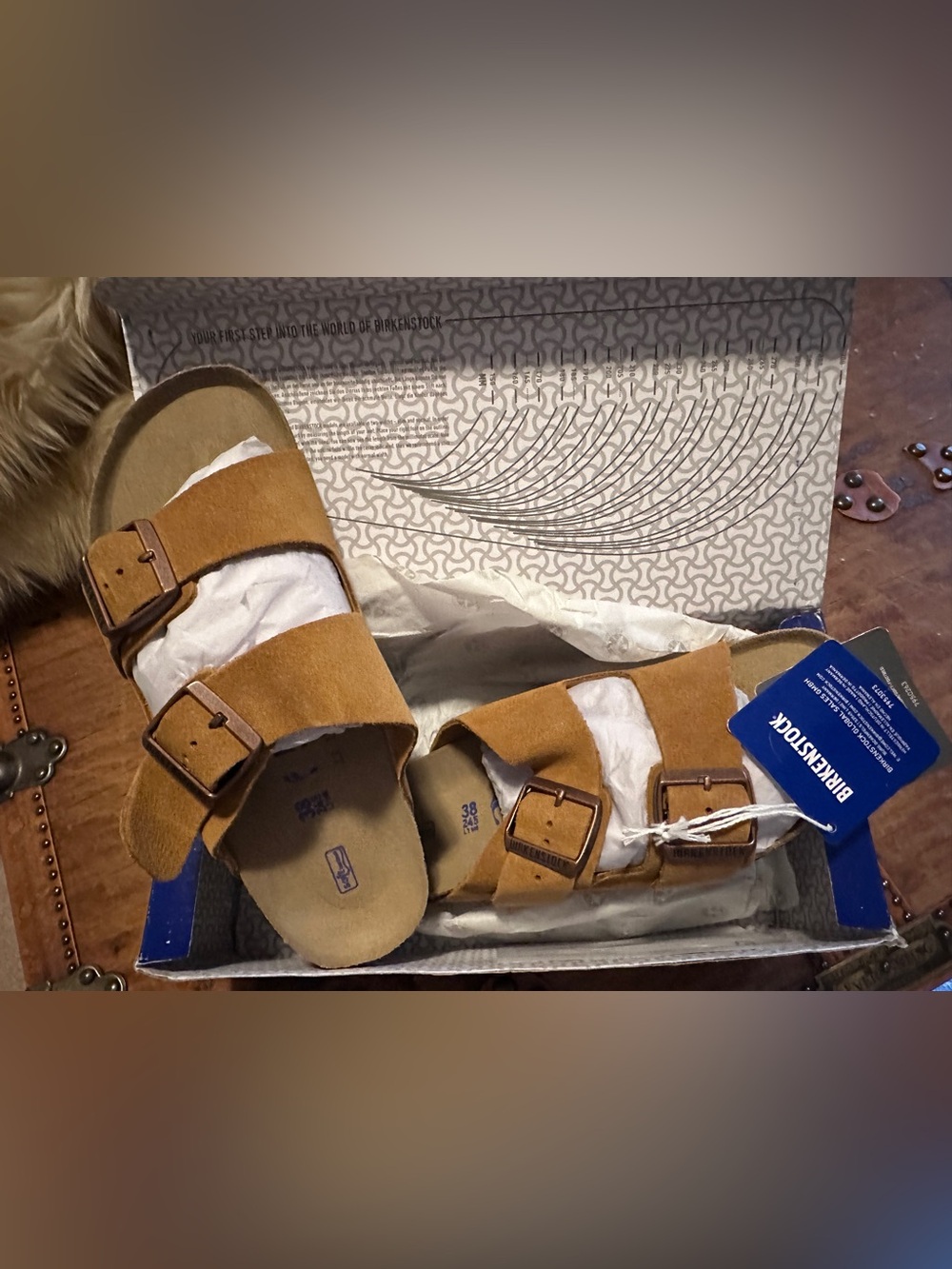 Birkenstock  Arizona Suede  color mink w7 m5